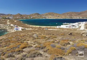 Divounia Beach  - MYKONOS