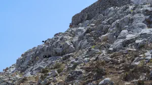 Agios Ioannis Church  - NAXOS