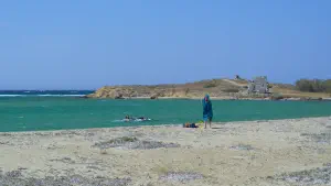 Laguna Beach  - NAXOS