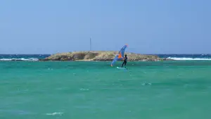 Laguna Beach  - NAXOS