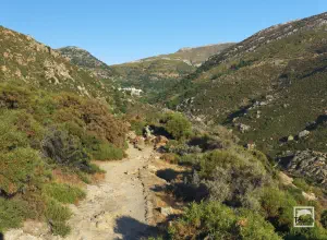 Routsouna Waterfall  - NAXOS