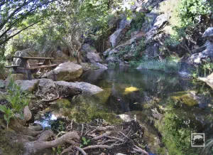 Routsouna Waterfall  - NAXOS