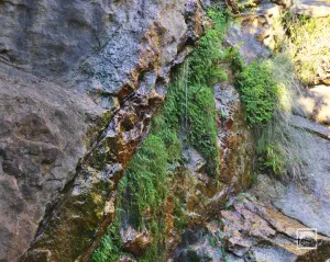 Routsouna Waterfall  - NAXOS