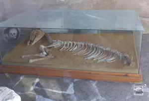 Ancient Cemetery Vitzi  - PAROS