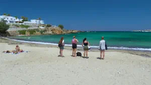 Delfini Beach  - PAROS