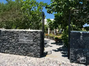 Domaine Sigalas Winery  - SANTORINI