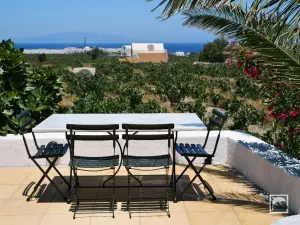 Domaine Sigalas Winery  - SANTORINI