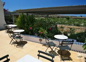 Domaine Sigalas Winery  - SANTORINI