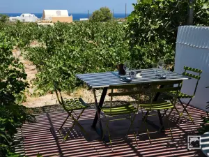 Domaine Sigalas Winery  - SANTORINI