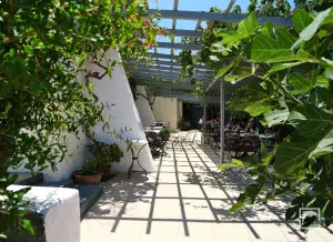 Domaine Sigalas Winery  - SANTORINI