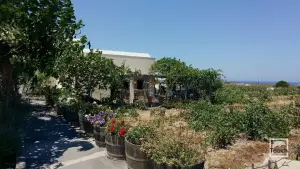 Domaine Sigalas Winery  - SANTORINI