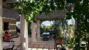 Domaine Sigalas Winery  - SANTORINI