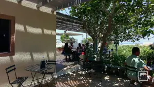 Domaine Sigalas Winery  - SANTORINI