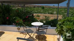 Domaine Sigalas Winery  - SANTORINI