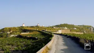 Gavrilos Windmills  - SANTORINI