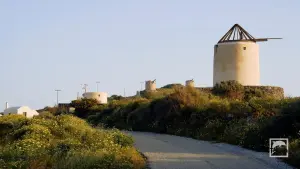 Gavrilos Windmills  - SANTORINI