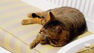 Imerovigli  - SANTORINI