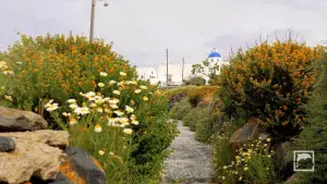 Imerovigli  - SANTORINI