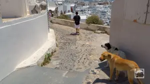 Imerovigli  - SANTORINI