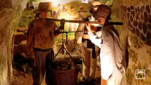 Koutsogiannopoulos Wine Museum  - SANTORINI
