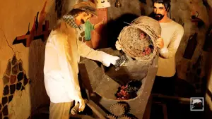 Koutsogiannopoulos Wine Museum  - SANTORINI