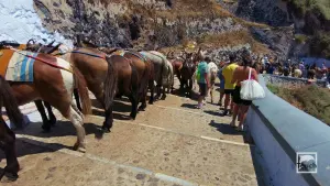 Ormos Firon  - SANTORINI