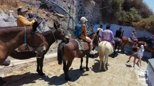 Ormos Firon  - SANTORINI