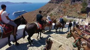 Ormos Firon  - SANTORINI