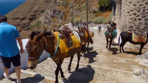 Ormos Firon  - SANTORINI