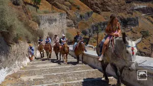 Ormos Firon  - SANTORINI