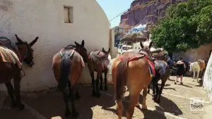 Ormos Firon  - SANTORINI