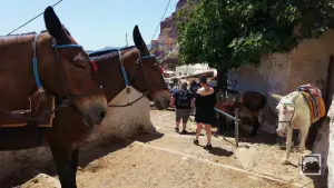 Ormos Firon  - SANTORINI