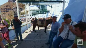 Ormos Firon  - SANTORINI