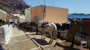 Ormos Firon  - SANTORINI