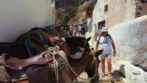 Ormos Firon  - SANTORINI