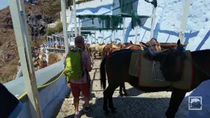 Ormos Firon  - SANTORINI