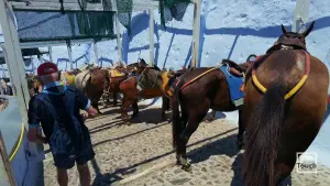 Ormos Firon  - SANTORINI