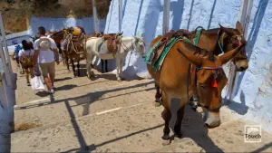 Ormos Firon  - SANTORINI