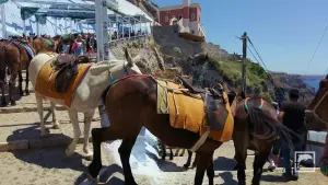 Ormos Firon  - SANTORINI