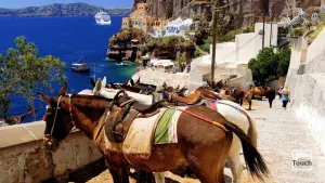 Ormos Firon  - SANTORINI