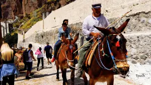 Ormos Firon  - SANTORINI