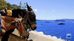 Ormos Firon  - SANTORINI