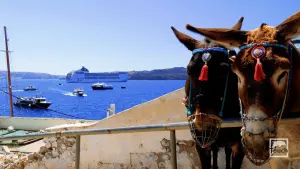 Ormos Firon  - SANTORINI