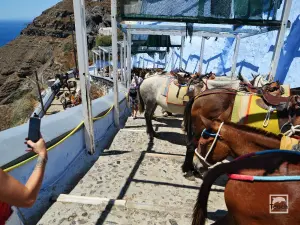 Ormos Firon  - SANTORINI