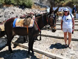 Ormos Firon  - SANTORINI