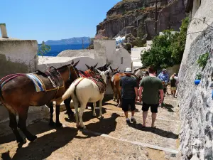 Ormos Firon  - SANTORINI