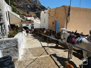 Ormos Firon  - SANTORINI