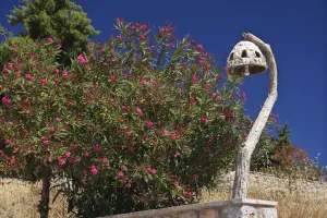 Agios Savvas Monastery  - KALYMNOS