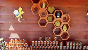 Agios Theologos Beach  - KOS