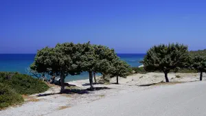 Agios Theologos Beach  - KOS
